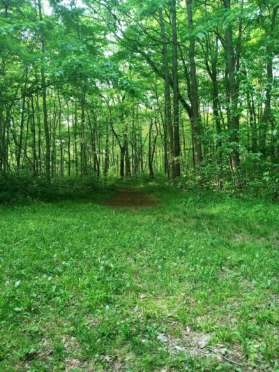 Englewood MetroPark East Park - Vandalia, OH