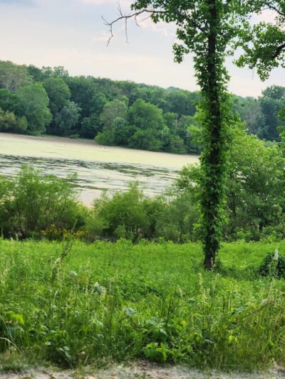 Englewood MetroPark East Park - Vandalia, OH