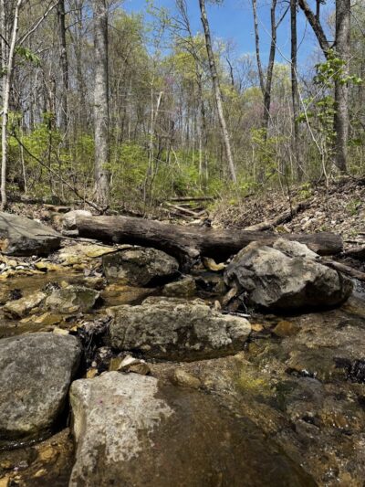 Englewood MetroPark Green Trail Loop - Vandalia, OH