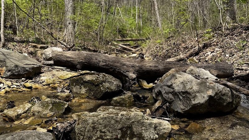 Englewood MetroPark Green Trail Loop - Vandalia, OH