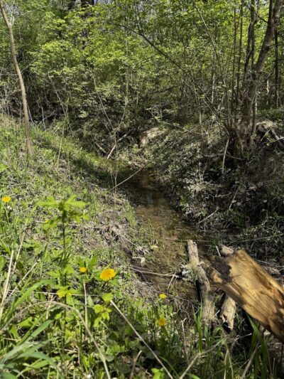 Englewood MetroPark Green Trail Loop - Vandalia, OH