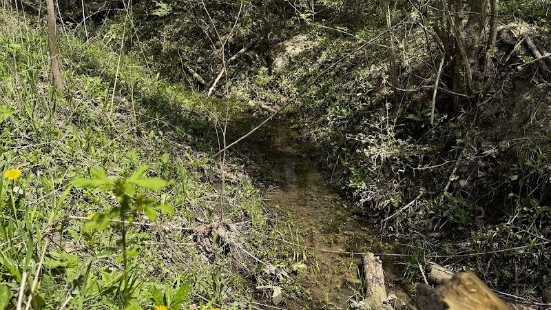 Englewood MetroPark Green Trail Loop - Vandalia, OH