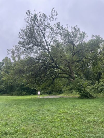 Englewood MetroPark Green Trail Loop - Vandalia, OH
