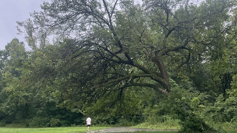 Englewood MetroPark Green Trail Loop - Vandalia, OH