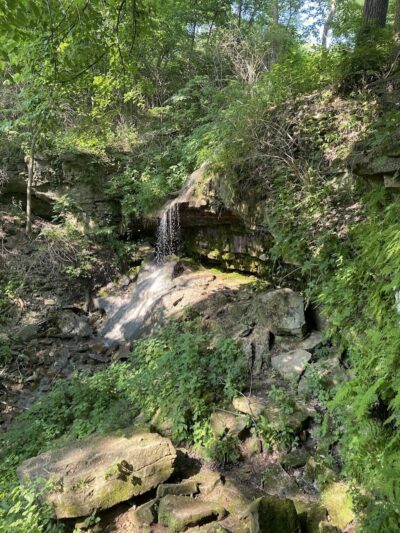 Englewood MetroPark Green Trail Loop - Vandalia, OH