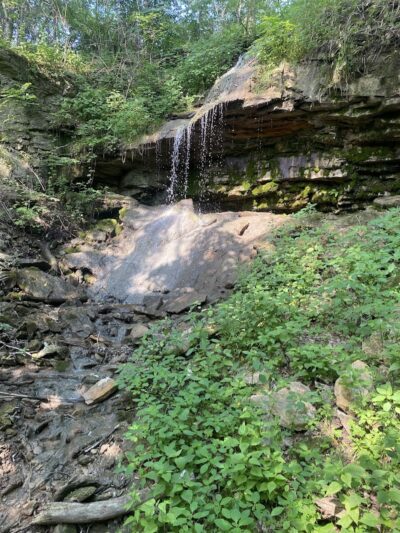 Englewood MetroPark Green Trail Loop - Vandalia, OH