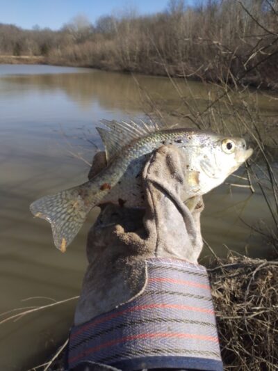 Englewood MetroPark North Park - Vandalia, OH