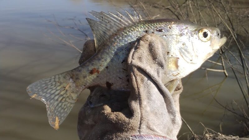 Englewood MetroPark North Park - Vandalia, OH