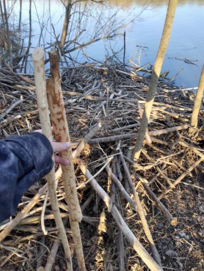 Englewood MetroPark North Park - Vandalia, OH