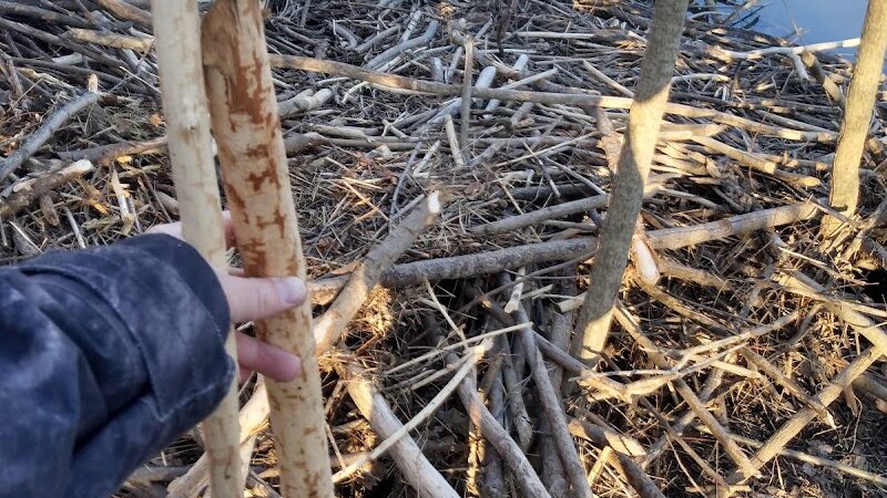 Englewood MetroPark North Park - Vandalia, OH