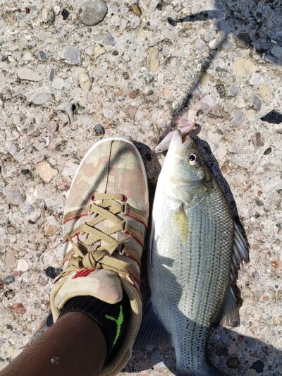 Englewood MetroPark North Park - Vandalia, OH