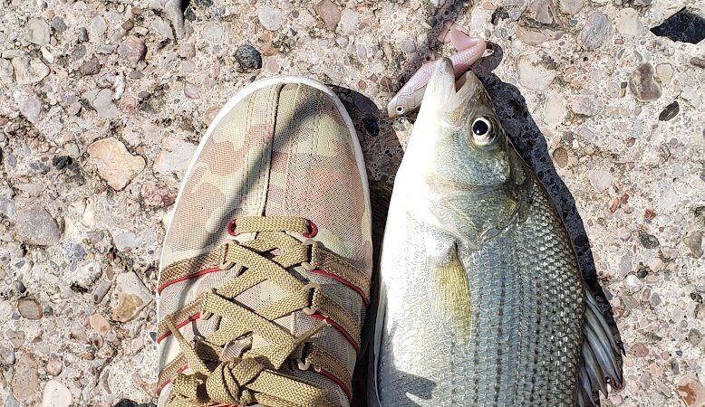 Englewood MetroPark North Park - Vandalia, OH