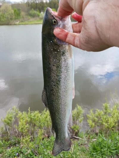 Englewood MetroPark North Park - Vandalia, OH
