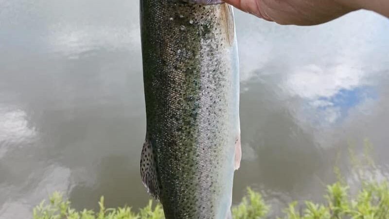 Englewood MetroPark North Park - Vandalia, OH