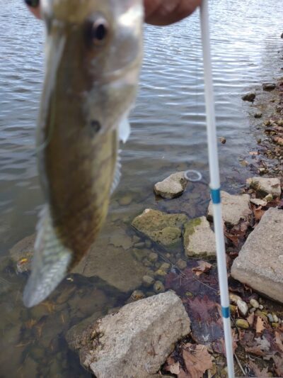 Englewood MetroPark North Park - Vandalia, OH