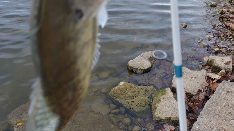 Englewood MetroPark North Park - Vandalia, OH