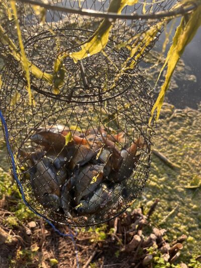 Englewood MetroPark North Park - Vandalia, OH