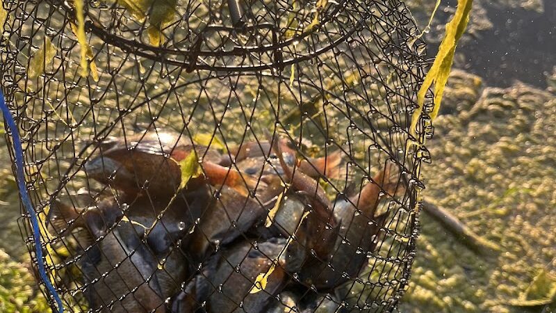 Englewood MetroPark North Park - Vandalia, OH