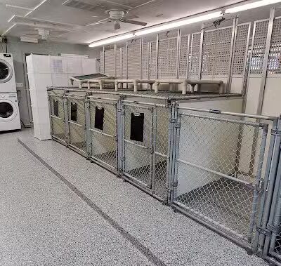 Howliday Inn Boarding - Vandalia, OH