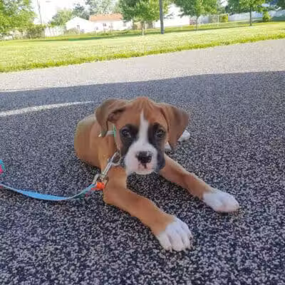 Robinette Park - Vandalia, OH