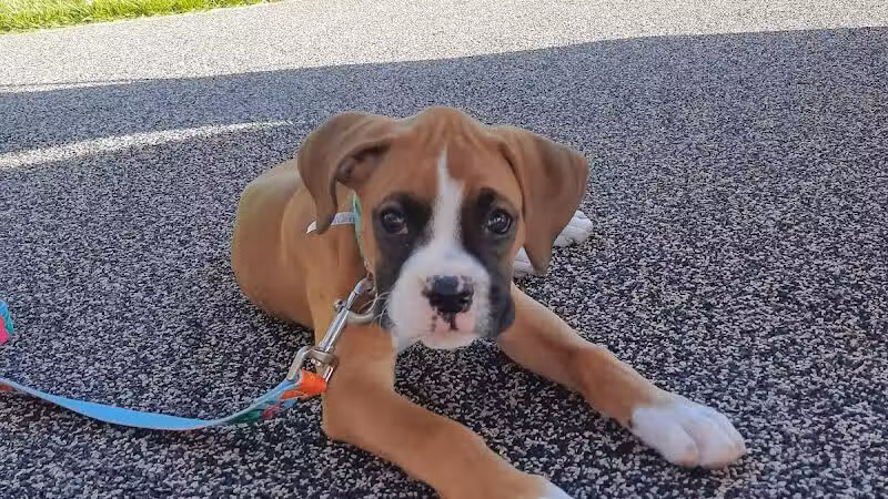 Robinette Park - Vandalia, OH