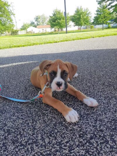 Robinette Park - Vandalia, OH