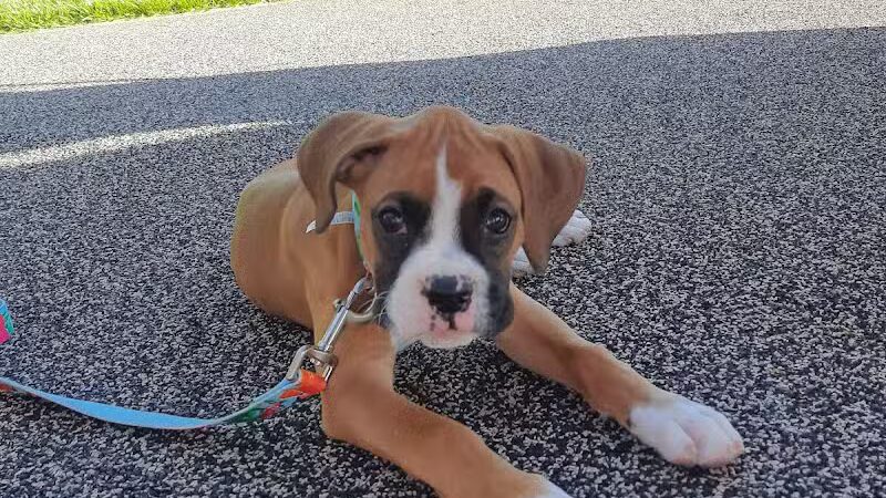 Robinette Park - Vandalia, OH