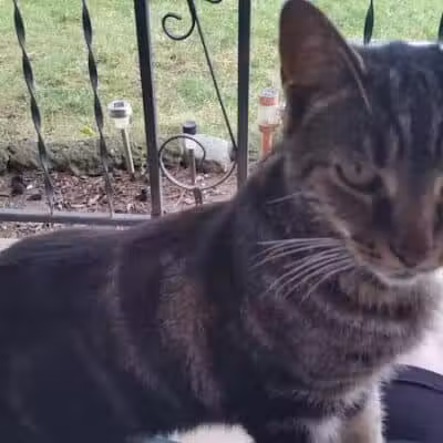 Robinette Park - Vandalia, OH