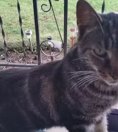 Robinette Park - Vandalia, OH