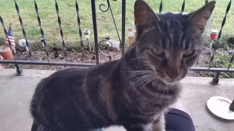 Robinette Park - Vandalia, OH