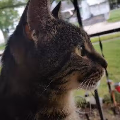 Robinette Park - Vandalia, OH