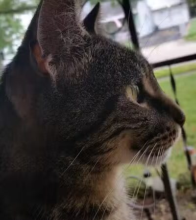 Robinette Park - Vandalia, OH