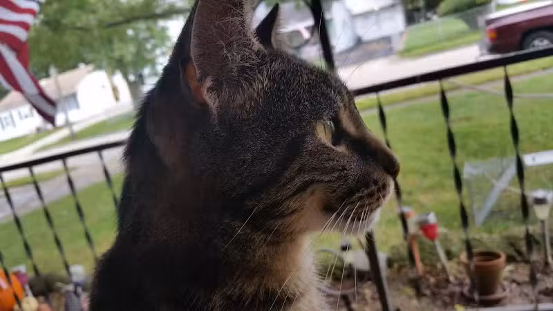 Robinette Park - Vandalia, OH