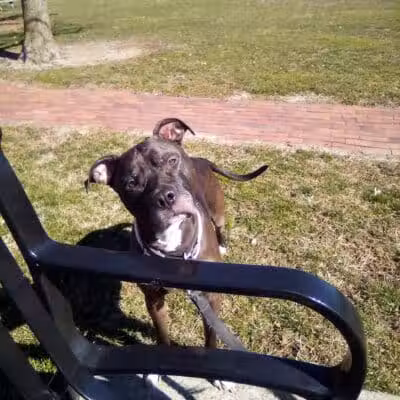 Seger Park - Vandalia, OH