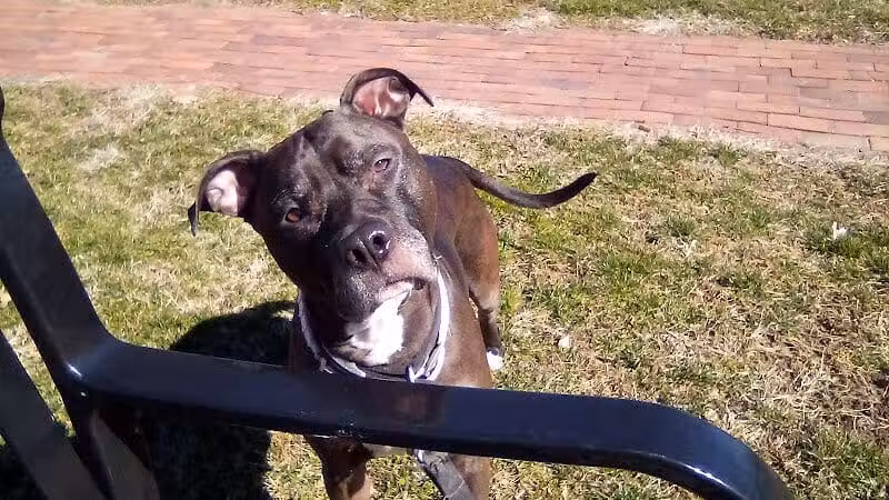 Seger Park - Vandalia, OH