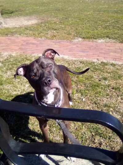 Seger Park - Vandalia, OH