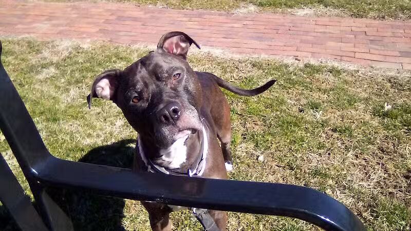 Seger Park - Vandalia, OH