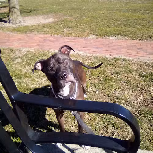 Seger Park - Vandalia, OH