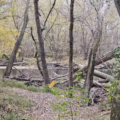 Taylorsville Metropark East Parking - Vandalia, OH