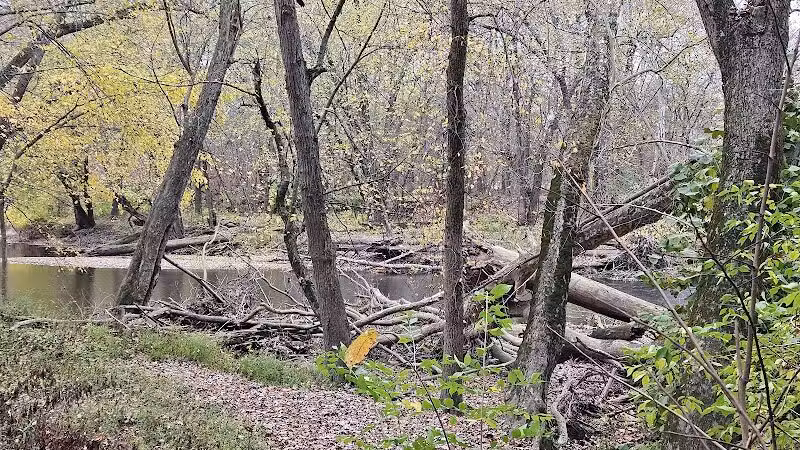 Taylorsville Metropark East Parking - Vandalia, OH