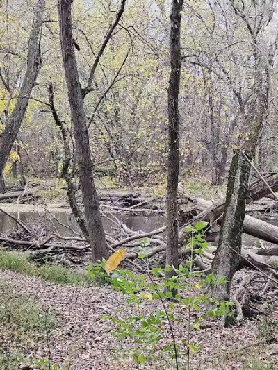 Taylorsville Metropark East Parking - Vandalia, OH