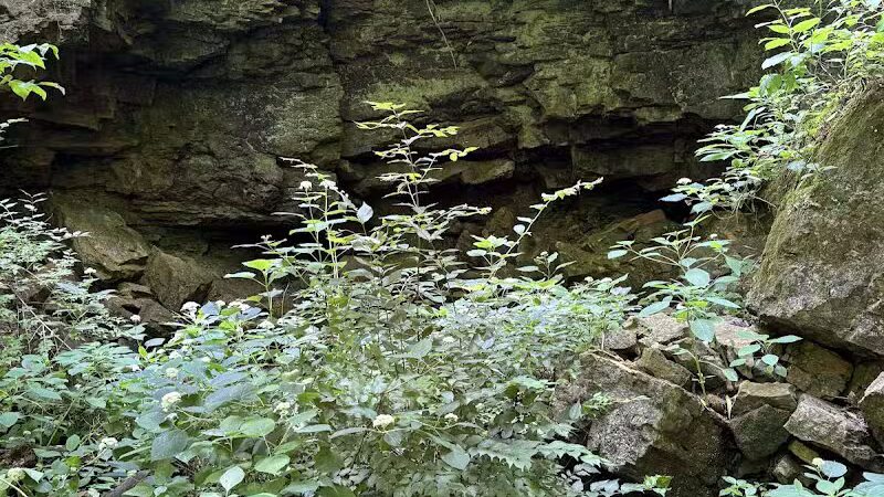 Taylorsville Metropark East Parking - Vandalia, OH