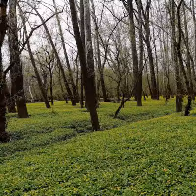 Taylorsville Metropark East Parking - Vandalia, OH