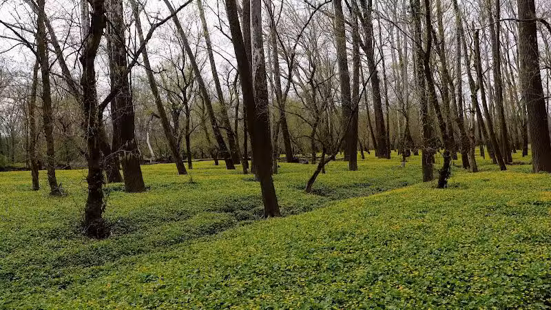 Taylorsville Metropark East Parking - Vandalia, OH