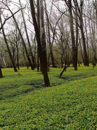 Taylorsville Metropark East Parking - Vandalia, OH