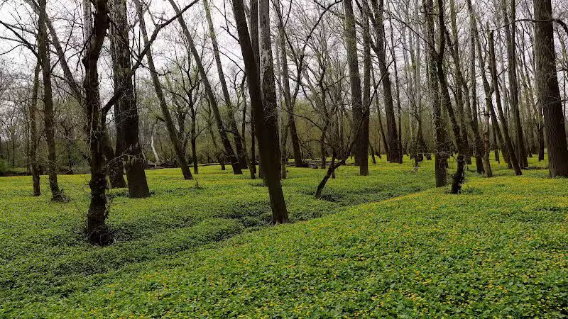 Taylorsville Metropark East Parking - Vandalia, OH