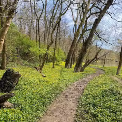 Taylorsville Metropark East Parking - Vandalia, OH