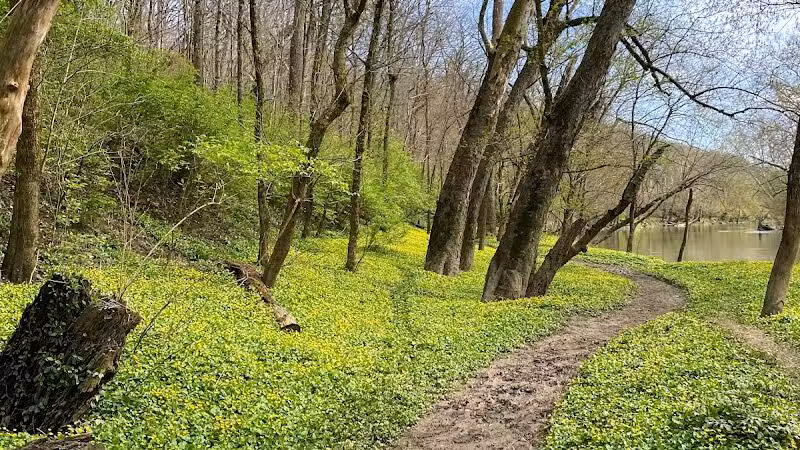 Taylorsville Metropark East Parking - Vandalia, OH