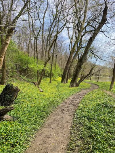 Taylorsville Metropark East Parking - Vandalia, OH