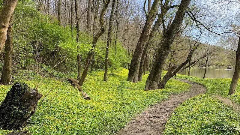 Taylorsville Metropark East Parking - Vandalia, OH